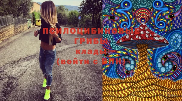 спайс Алексеевка