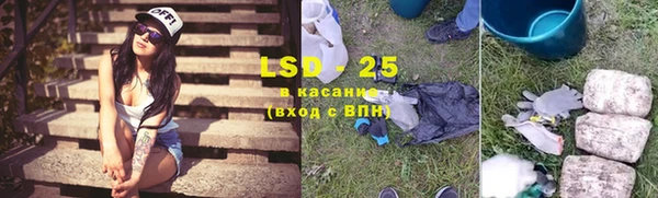 ГАЛЛЮЦИНОГЕННЫЕ ГРИБЫ Рославль