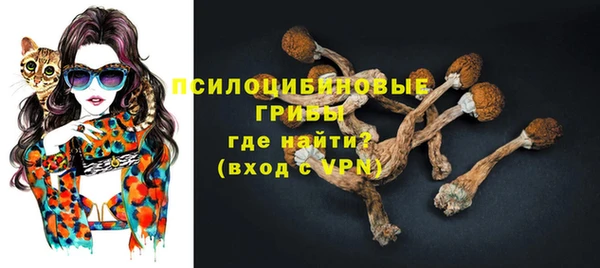 мдпв Россошь