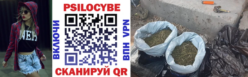 закладка  Юхнов  Псилоцибиновые грибы прущие грибы 